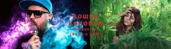 ГАЛЛЮЦИНОГЕННЫЕ ГРИБЫ Коряжма