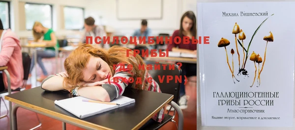 гидропоника Белокуриха