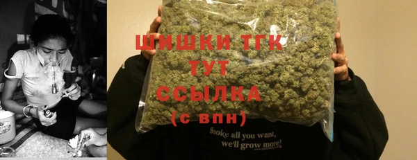 гидропоника Белокуриха