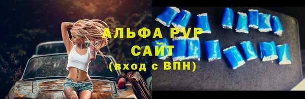 прущие грибы Белоозёрский