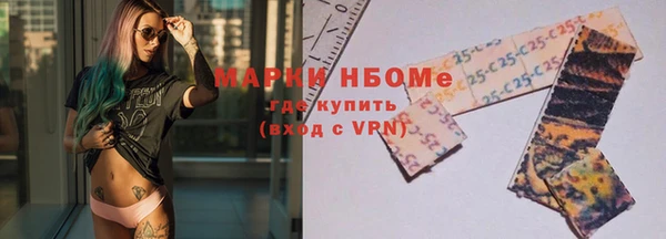 прущие грибы Белоозёрский