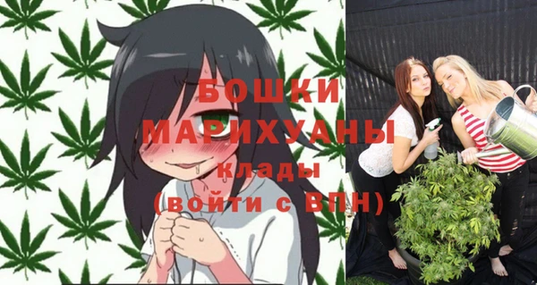 прущие грибы Белоозёрский