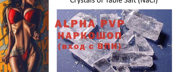прущие грибы Белоозёрский