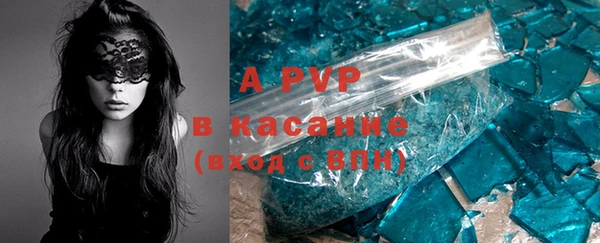 гидропоника Белокуриха