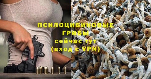 Альфа ПВП Беломорск