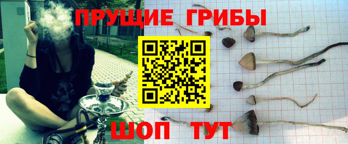 как найти наркотики  Галлюциногенные грибы Psilocybe  Вход с VPN  Галлюциногенные грибы мухоморы  Дагестанские Огни 