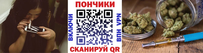 kraken как зайти  Дагестанские Огни  Каннабис тримм  дарнет шоп 